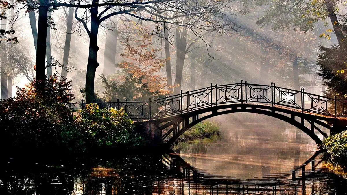 most i mir u prirodi